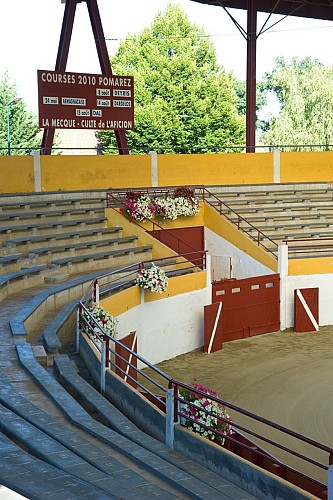 2012_POMAREZ_Arènes intérieur