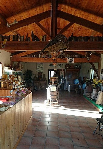 Musee-de-l-abeille-2-2