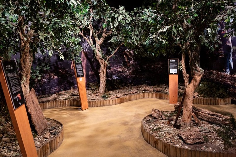 Musée du liège et du bouchon_02