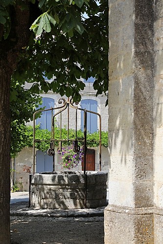 ©_Jerome_Morel_IMG_5287 Redimension