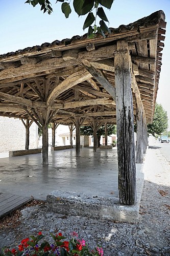 ©_Jerome_Morel_IMG_5275 Redimension