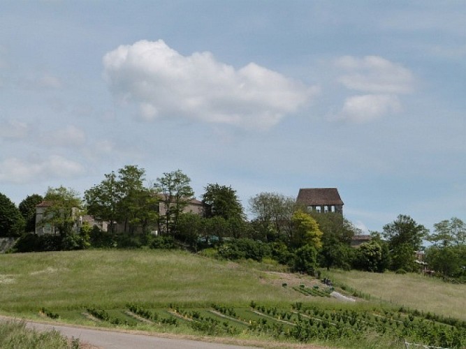 OT VILLEREAL - EGLISE MONTAUT 3