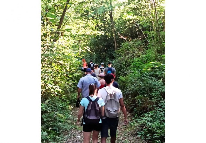 Ferme Larrey - balade dans les bois