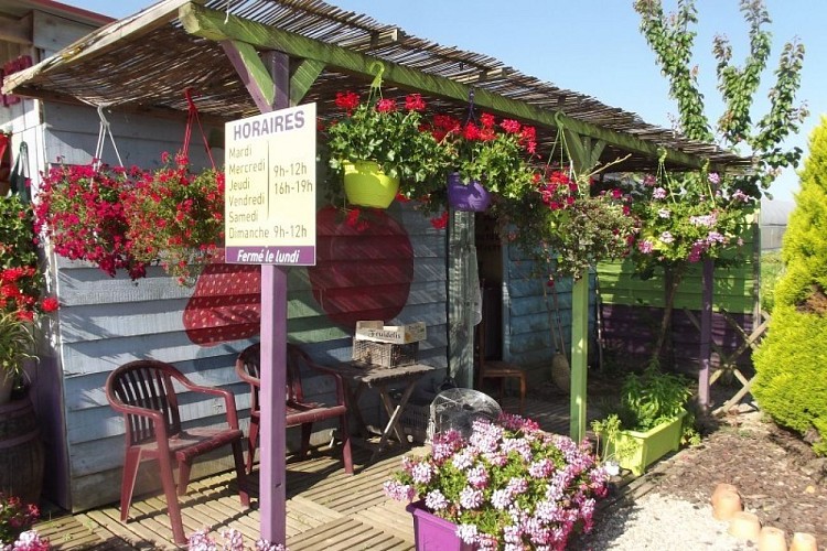 La-Ferme-de-Saumathe-2