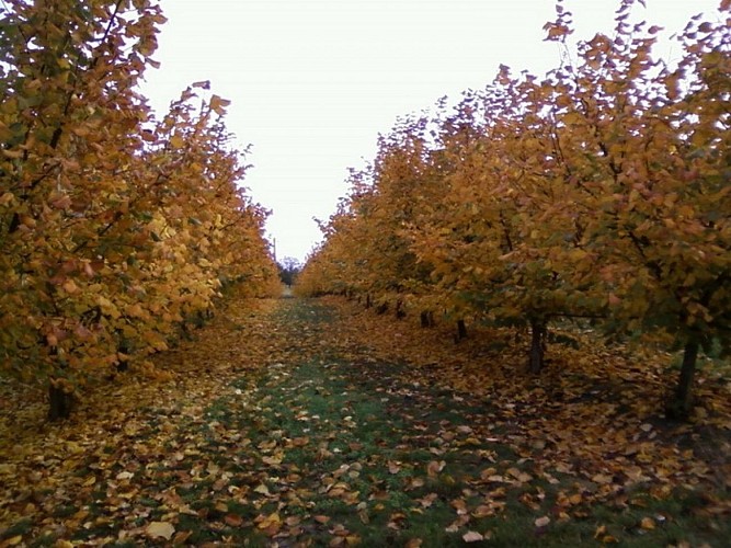 OTLT_DEG_EARL du Bel Air_Tourtrès_vergers