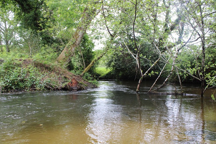 CASTETS_Club Canoe kayak La Palue