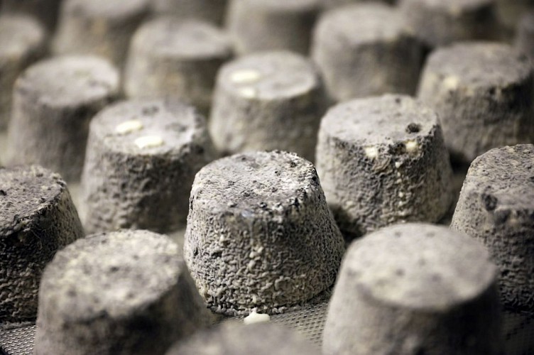 ©_Jerome_Morel_IMG_1552 Redimension