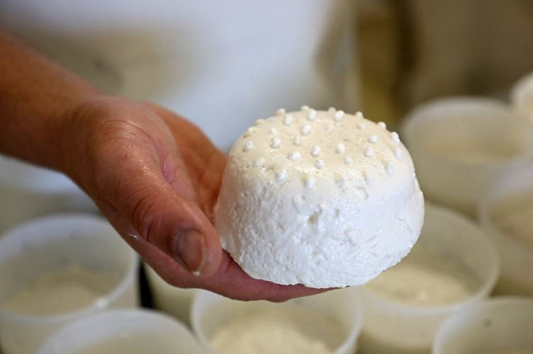 ©_Jerome_Morel_IMG_1585 Redimension