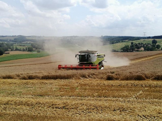 DEG_le rdv des fins gourmets_Verteuil_moissons