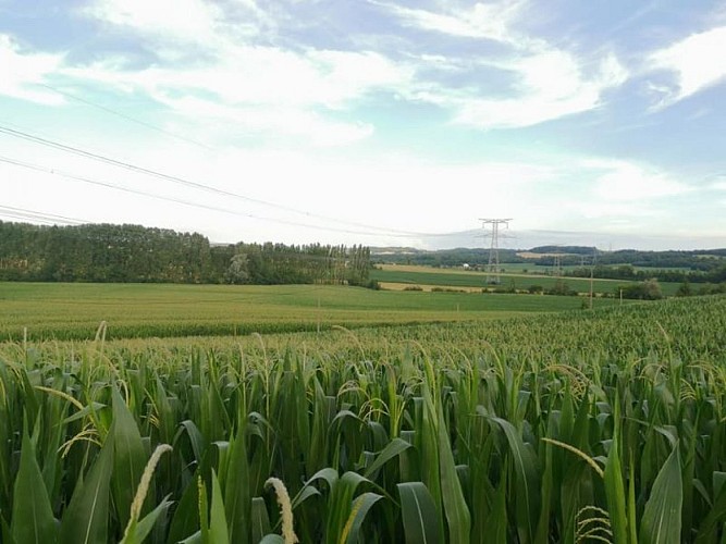 DEG_le rdv des fins gourmets_Verteuil_céréales