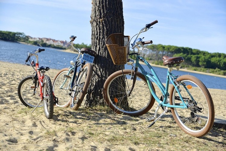 Free Landes_Soustons Plage_Landes Atlantique Sud (3)