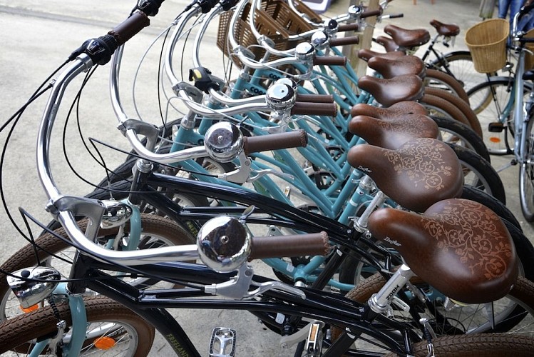 Free Landes_Soustons Plage_Landes Atlantique Sud (2)