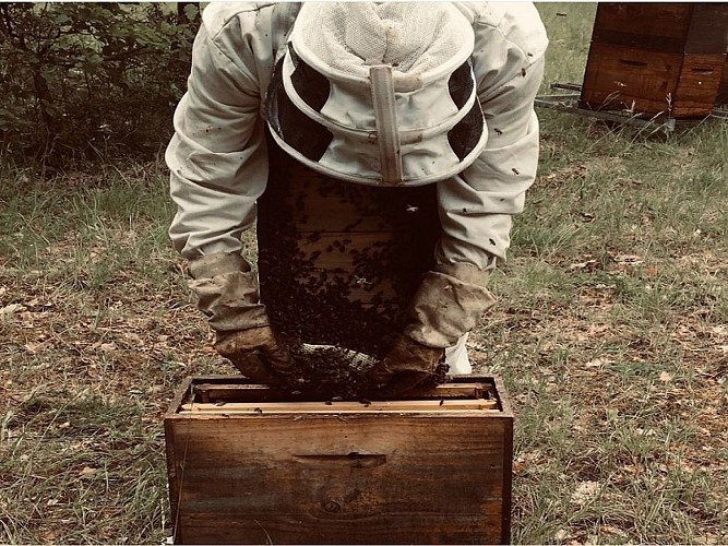 rucher-saint-victor-blaymont-destination-agen-tourisme