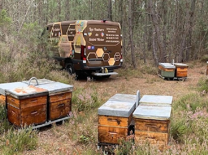 rucher-saint-victor-blaymont-destination-agen-tourisme