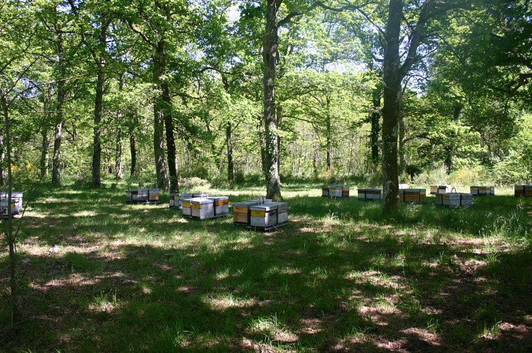 les_ruchers_de_stVictor_Blaymont_2