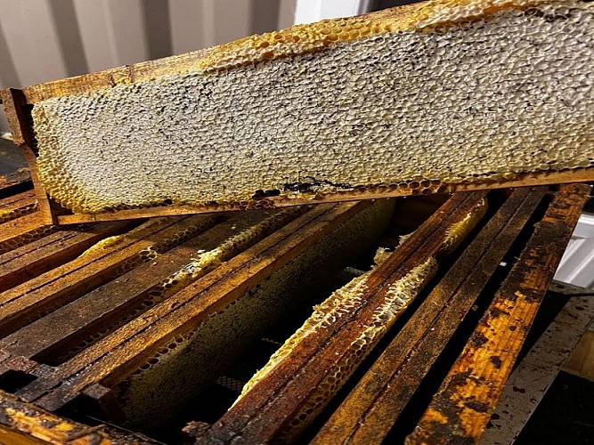 rucher-saint-victor-blaymont-destination-agen-tourisme