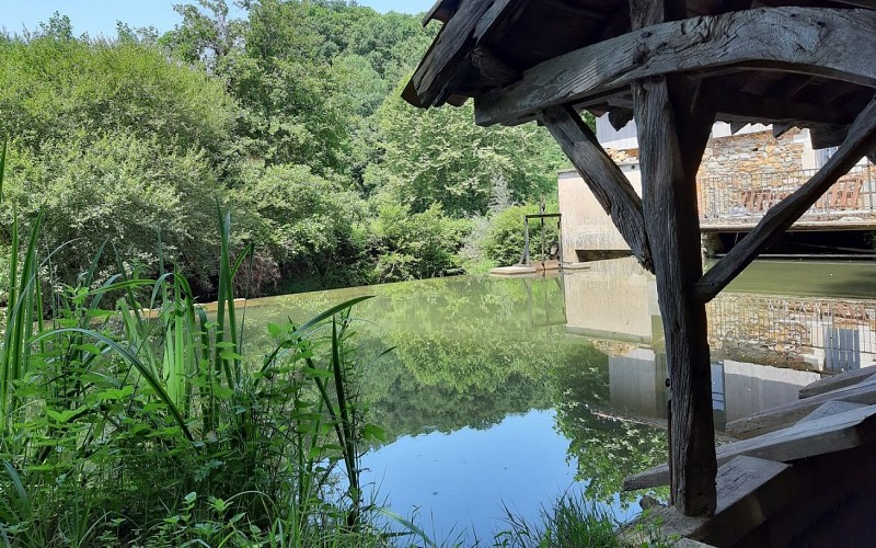 Lavoir-et-moulin-de-La-Bastide-Clairence