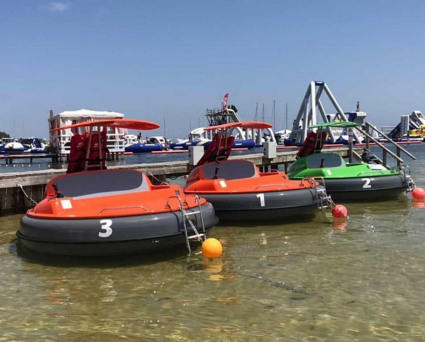 66424340-100376614617967-924477068920487936-n