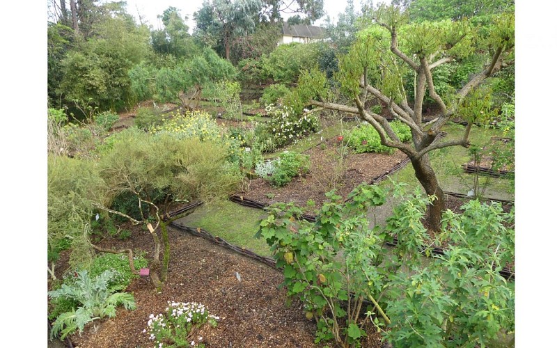 Labyrinthe 2025 (15)_TS_1440x900