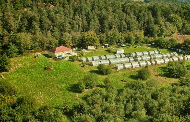 Spiruline d'Aquitaine - Serres