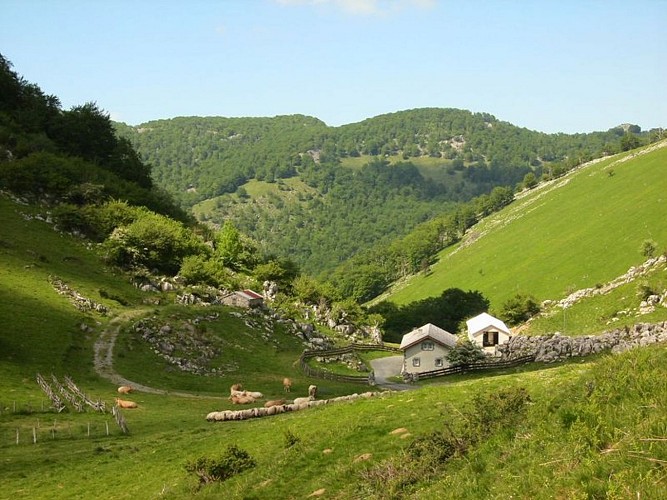Cayolar Ipaskoa - vue site montagnes - Behorleguy