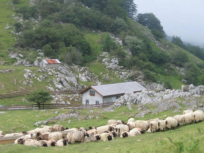 Cayolar Ipaskoa - estive - Behorleguy