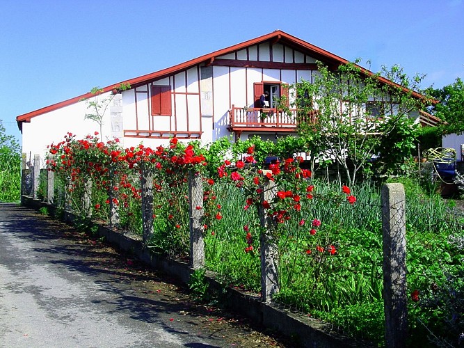 Ferme Bachoc - 64120 Suhescun (2)