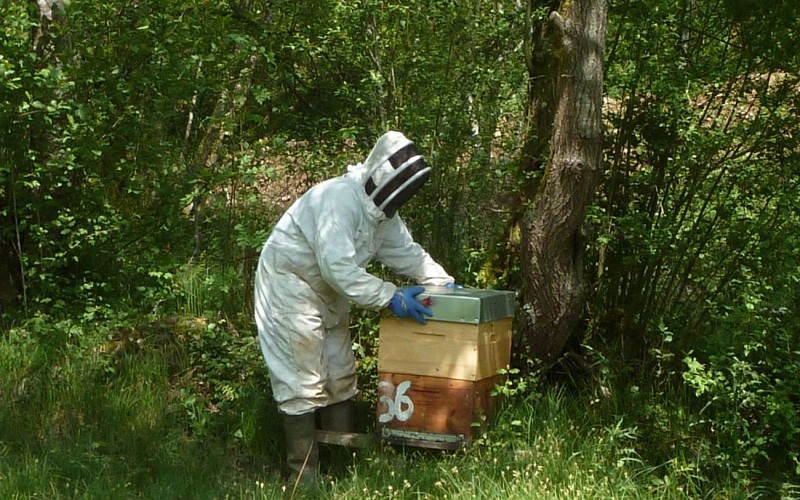 2014-Le-rucher-du-Mourle - - 2-ok