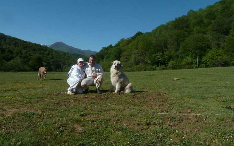 2014-Le-rucher-du-Mourle - - 3-ok