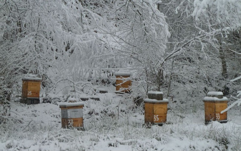 2014-Le-rucher-du-Mourle - - 5-ok