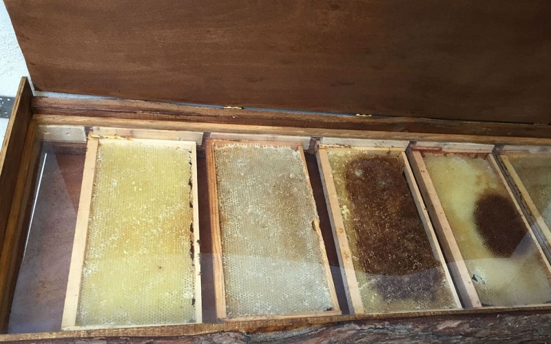 2015-Le-rucher-du-Mourle - Ferme-pedagogique - -Terroir - Gastronomie-OTCPN - 3-ok