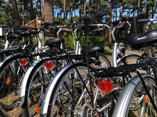 VSG_Oxygen Cycles_nouvelle