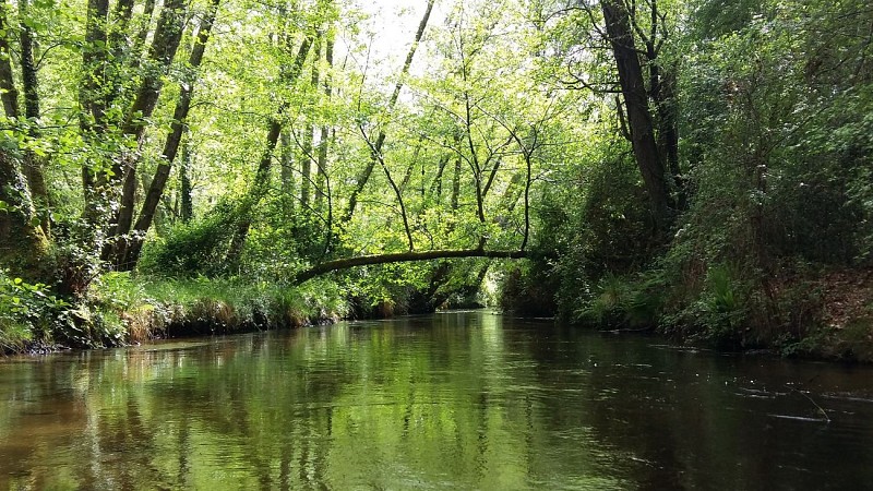 St-Michel-Escalus_Canoe Land (2)