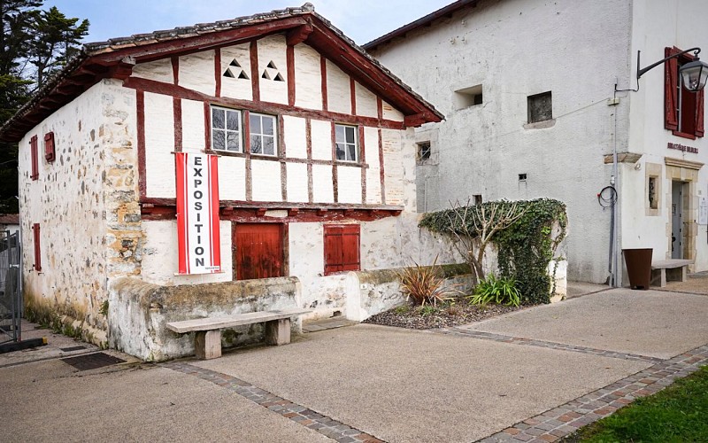 53516480003_abab05e93f_k 1440x900