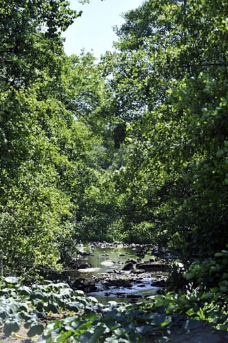 Jardin du Gué de Flai