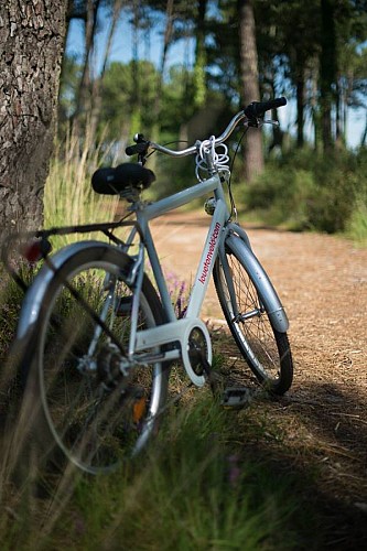 loc velo messanges landes