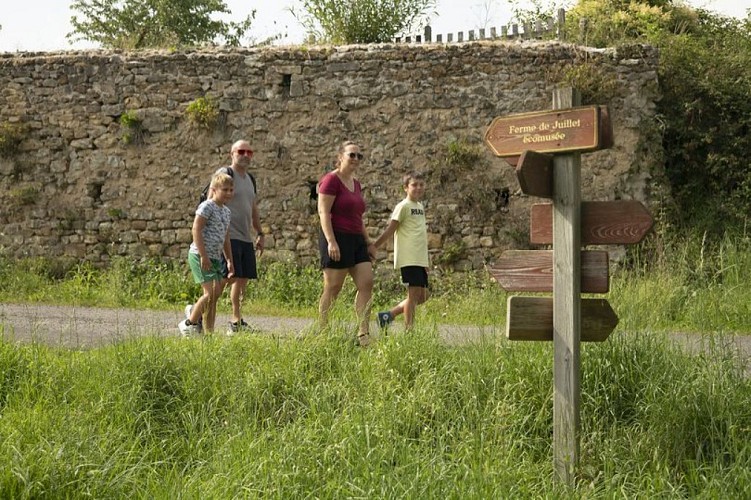 famille sur les chemins de Juillé credit photo Thomas Jelinec agence  Zebrelle ete 2021Expérience famille