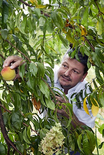 régis gagnadre - auberge de layotte - 2 9