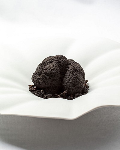 Tiramisu à la truffe noire du Périgord (4)