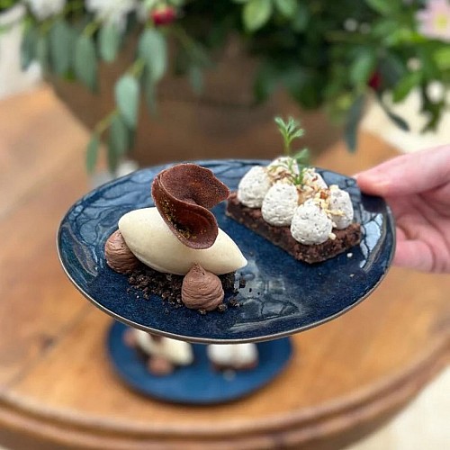 PHOTOS SITE INTERNET BISTRO - 3 1 2