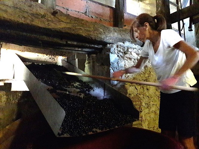 domaine-de-pichon-3-2