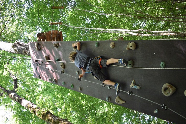 Des-chenes-toi-2019--16-