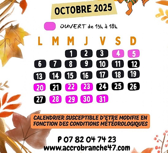 Des chênes toi aventures octobre25
