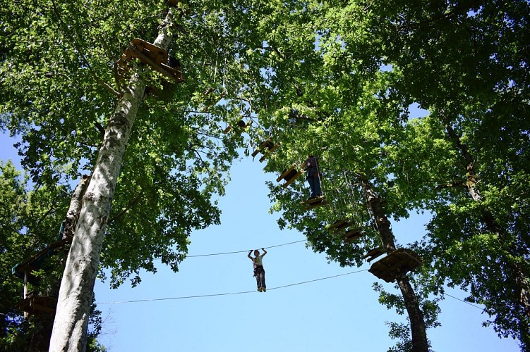 Des-chenes-toi-2019--10-