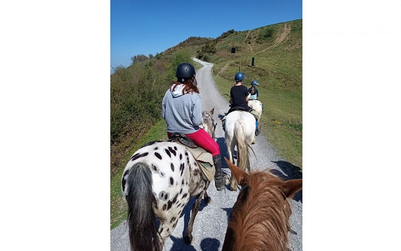 Chevaux d'Iraty balade