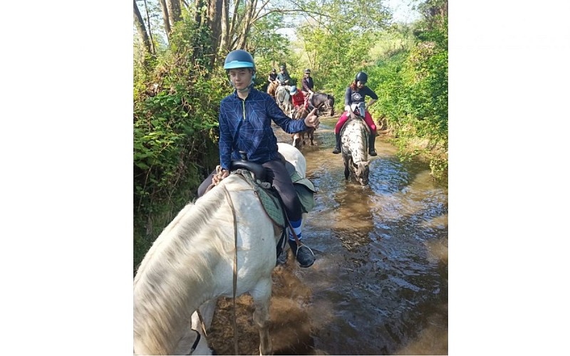 Chevaux d'Iraty ruisseau