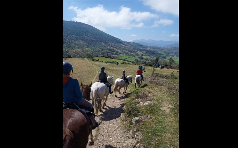 Balade à cheval - Les Chalets d'Iraty