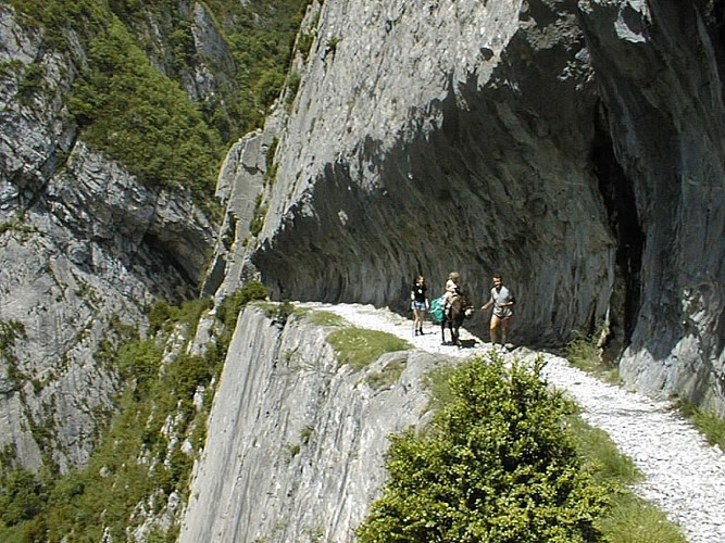 Balade avec un âne sur le Chemin de la Mâture
