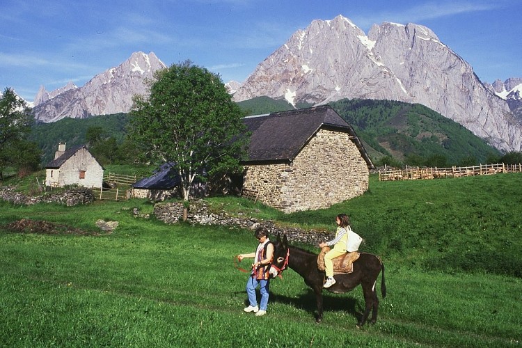 Randonnée familiale avec un âne en vallée d'Aspe