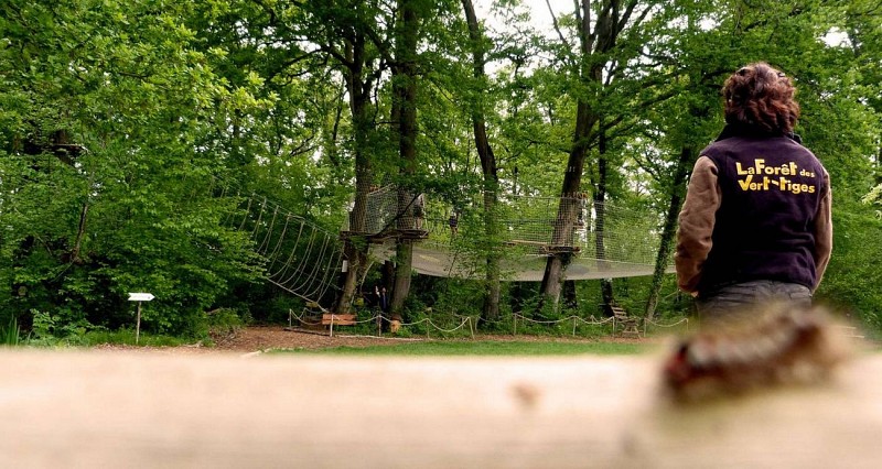 La forêt des Vert'tiges